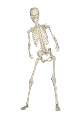 Side Effects of Too Much Calcium